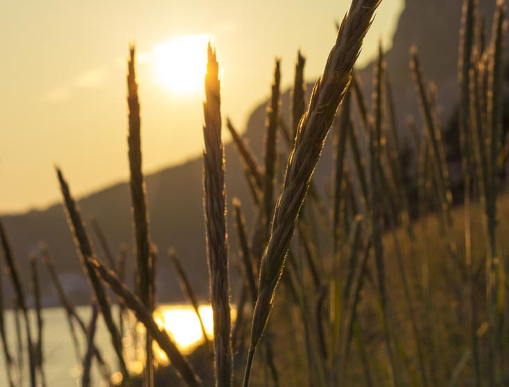 sunset thumbnail